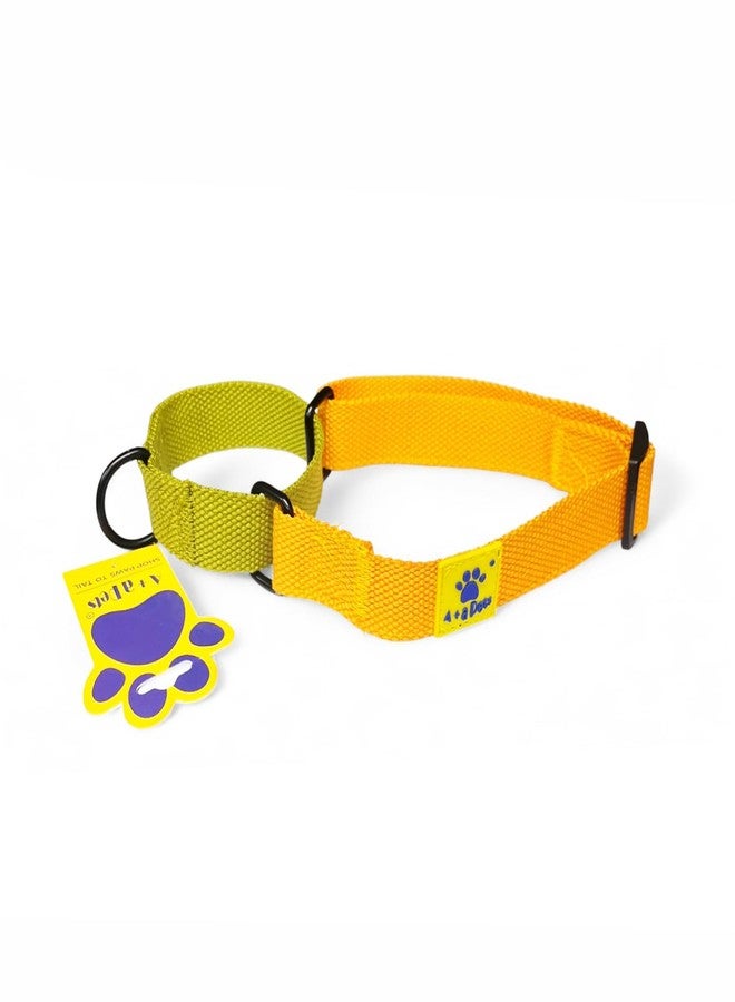 A+a Pets Martingale Dog Collar | No Pull Design, No Neck Strain, No Choke Design | for Large & Medium Dogs | Rust Free, Cotton Training Collar (Mango & Green), 20 x 2.5 cm - Image 1